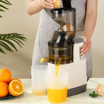 Load image into Gallery viewer, 500W Portable Blender &amp; Juicer with Filter for Smooth Juice

