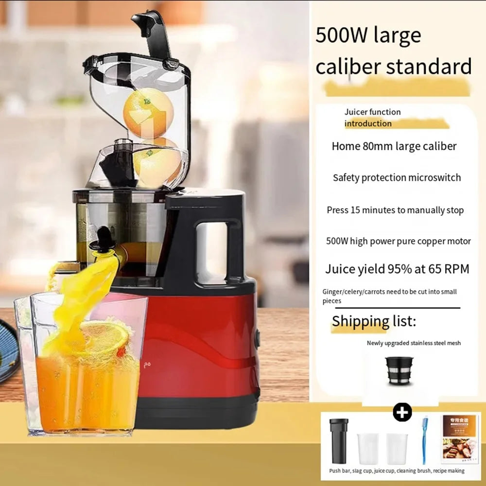 500W Portable Blender & Juicer with Filter for Smooth Juice