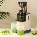 Load image into Gallery viewer, 500W Portable Blender &amp; Juicer with Filter for Smooth Juice
