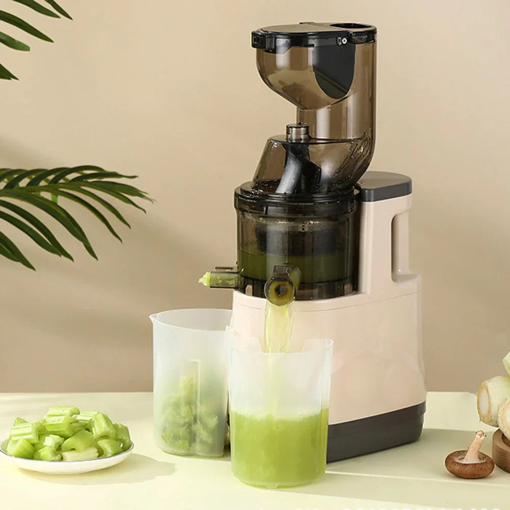 500W Portable Blender & Juicer with Filter for Smooth Juice