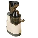 Load image into Gallery viewer, 500W Portable Blender &amp; Juicer with Filter for Smooth Juice
