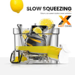 Load image into Gallery viewer, Portable Juicer Electric Juice Extractor Fruit Juice Maker Blender
