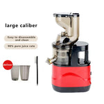 Load image into Gallery viewer, 500W Portable Blender &amp; Juicer with Filter for Smooth Juice
