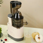 Load image into Gallery viewer, 500W Portable Blender &amp; Juicer with Filter for Smooth Juice

